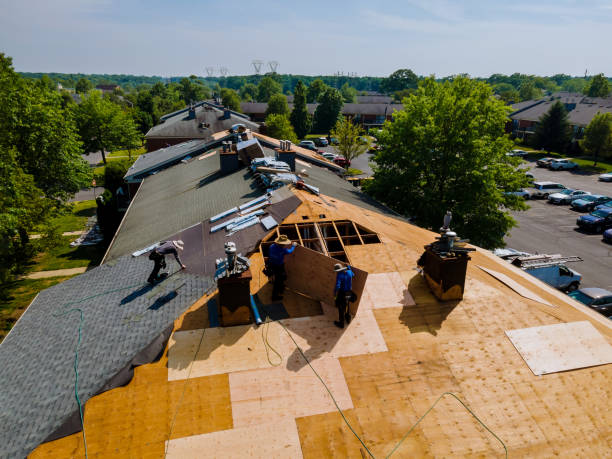 Quick and Trustworthy Emergency Roof Repair Services in Shelton, NE