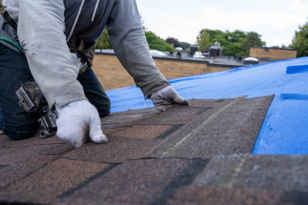 Best Flat Roof Repair Services  in Shelton, NE