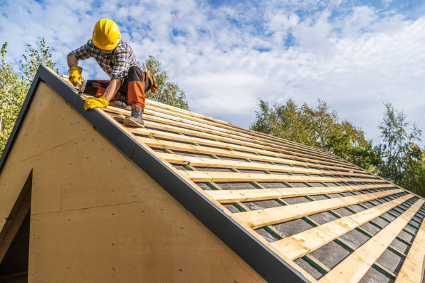 Best Commercial Roofing Services  in Shelton, NE