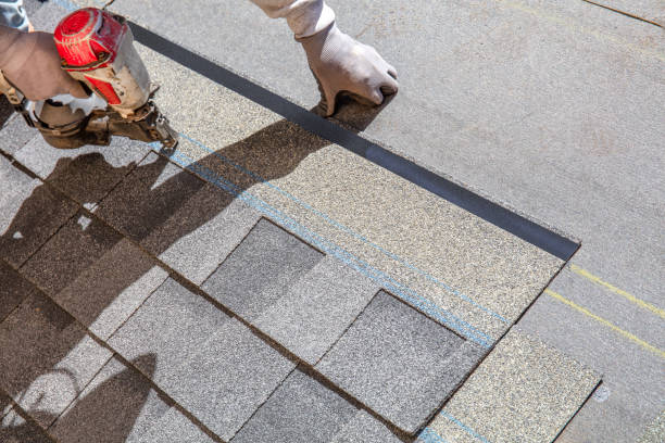 Best Metal Roofing Contractor  in Shelton, NE