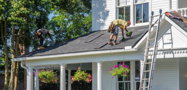 Roof Gutter Cleaning in Shelton, NE